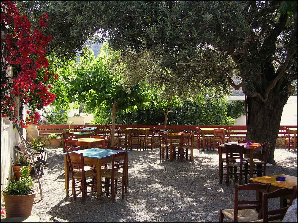 typická tavernička pod olivovníky